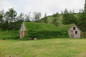 Turf shed by guesthouse