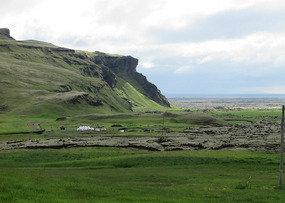 View of moss field around guesthouse
