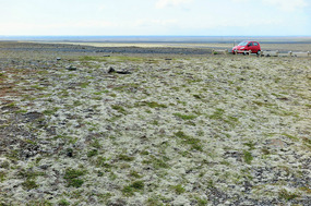 Our little car in field of moss