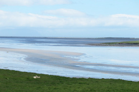 Out to sea