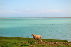 Sea is so blue from glacial water