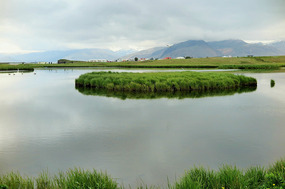 Love the grass and the water