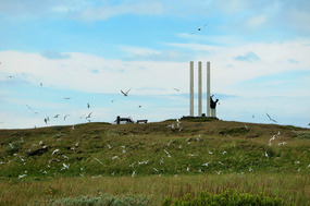 Seaman's Monument with Artic Terns