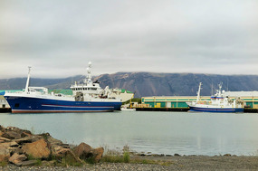 The harbour at Hofn