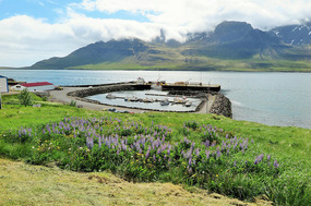 Little harbour at Stodvarfjordur