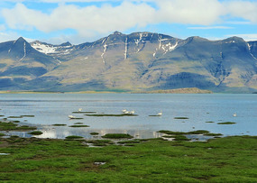 Islands in the water