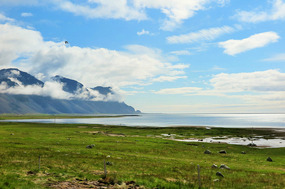 On the way to Djupivogur