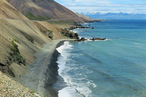 Pretty coastline