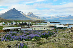 View over Dúpivopur
