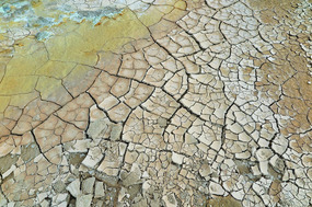 Cracked earth