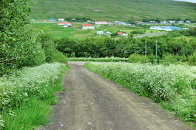 View from the guesthouse