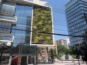 the green wall