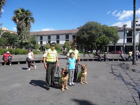 Top doggy shot for today