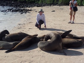 Sea lions and JC