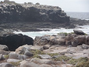 Cliffs on the island where birds come and go