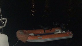 Video of seal on then in the zodiac :)