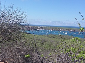 View from the top of port, plane coming in