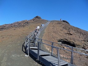 Looking up the last bit of the stairs