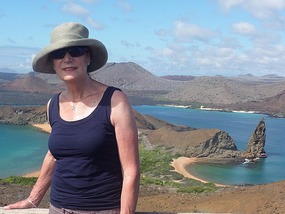 Me at the top - yes I made it!