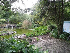 In the botanic gardens