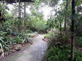 Nice gardens