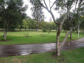 The park
