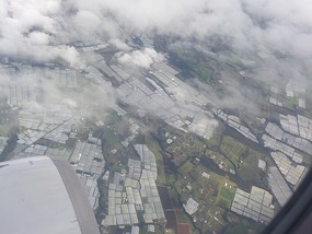 Greenhouses out of Quito