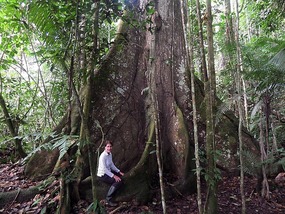 Jenny in the jungle
