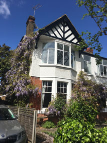 Wisteria side extension