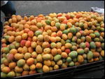 .01  Mangoes at a street vendor