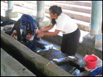 .015  Laundry