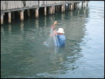 .03   Local Fisherman