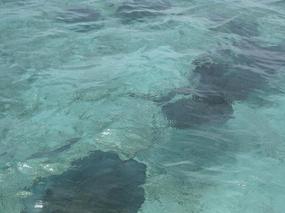 Right before snorkeling at Stingray Alley