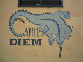 .01  Finca Carpe Diem