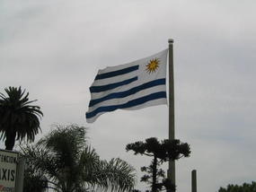 .01  Flag