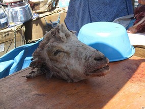 Seriously, is this really for sale???