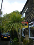 House to let!