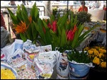 flowers waiting to be assembled