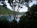 from the bungalow