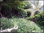 our bungalow (look carefully)