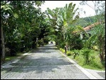 the road out of Save House
