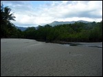 beach at Cape Trib
