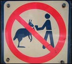 Don't give the kangaroos drinks?