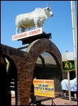 Big Bull 1