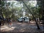 the van in the camp