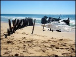 The wreck on Dicky Beach