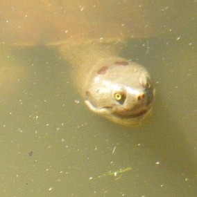 Smile for the camera!
