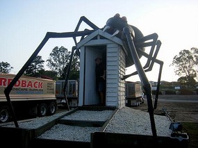 The Big Redback Spider almost gets Tony!