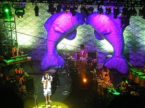 Every drummer should have a fish arch!