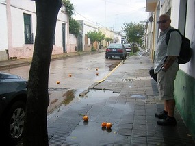 Why are there oranges all over the road?